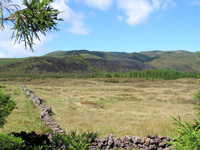 Mist&eacute;rio Negro (Foto: Eichner-Ramm)