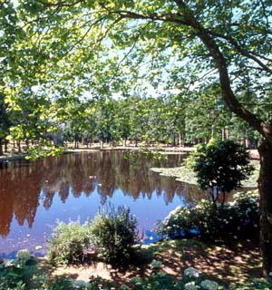 See im Innern der Insel Terceira (Foto: ATA / Associa&ccedil;&atilde;o de Turismo dos A&ccedil;ores)