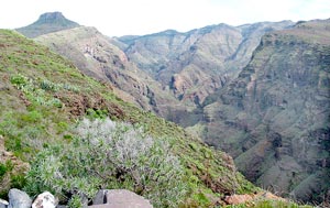 Blick in den Barraco Erque mit dem Tafelberg La Fortaleza im Hintergrund Blick in den Barranco Erque mit dem Tafelberg La Fortaleza im Hintergrund