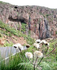 H&ouml;hlen im Fels an der Stra&szlig;e nach Alajer&oacute;