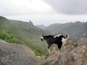 Begegnung am Stra&szlig;enrand