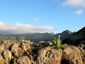 Weitgehend unber&uuml;hrte Landschaft: Teno-Gebirge im Abendlicht