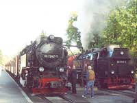 Am Bahnhof Wernigerode sieht man die Dampfloks der Harzquer- und Brockenbahn in Aktion (Foto: ttk)