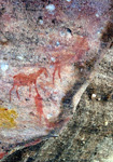 Buschmann-Zeichnung in den Felsen am Sevilla-Rock-Art-Trail; (Foto: Eichner-Ramm) Buschmann-Zeichnung in den Felsen am Sevilla-Rock-Art-Trail; (Foto: Eichner-Ramm)