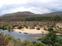 Olifantsriver (Foto: Eichner-Ramm) Olifantsriver (Foto: Eichner-Ramm)