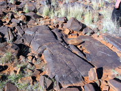 Jahrhundertealte Felsgravuren auf einem Farmgelände bei Griquastadt (Foto: Eichner-Ramm) Jahrhundertealte Felsgravuren auf einem Farmgelände bei Griquastadt (Foto: Eichner-Ramm)