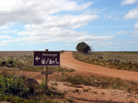 Einsame Staubpiste bei Overberg (Foto: Eichner-Ramm) Einsame Staubpiste bei Overberg (Foto: Eichner-Ramm)