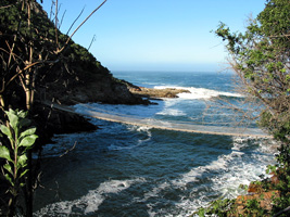 Hängebrücke an der Mündung des Storms River im Tsitsikamma Nationalpark (Foto: Eichner-Ramm) Hängebrücke an der Mündung des Storms River im Tsitsikamma Nationalpark (Foto: Eichner-Ramm)