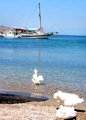 Bilderbuch-Buchten werden bei der &raquo;Blauen Reise&laquo; angelaufen